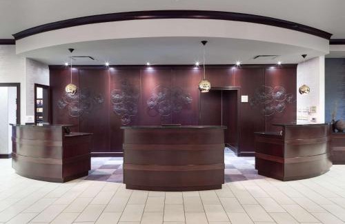 Tampa Hotel | Embassy Suites by Hilton Tampa Brandon