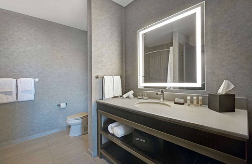 Downtown Hotel | Embassy Suites by Hilton Rockford Riverfront