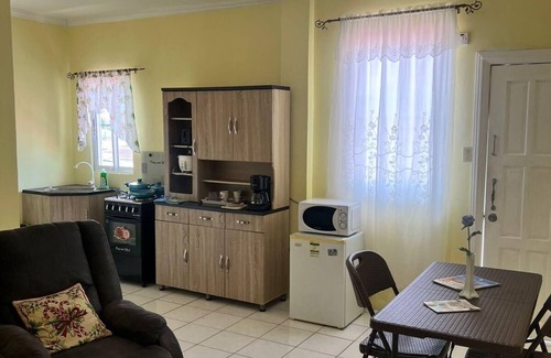 Georgetown Hotel | Emerald Aparment