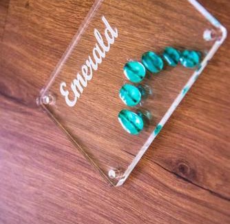Ballygunge Apartment | Emerald By Olys Apartment