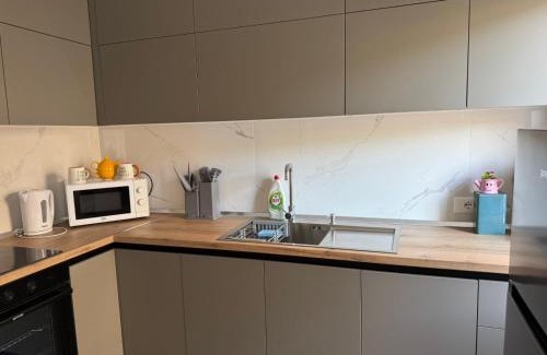 Elbasan Apartment | Emmas Place- Apartamenti modern por miqesor ne qender te Elbasanit