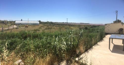Salin-de-Giraud Apartment | En camargue