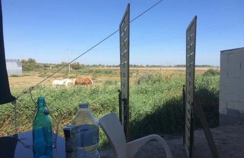 Salin-de-Giraud Apartment | En camargue