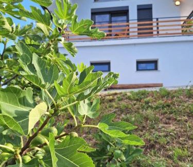 Majsperk Apartment | En hribček