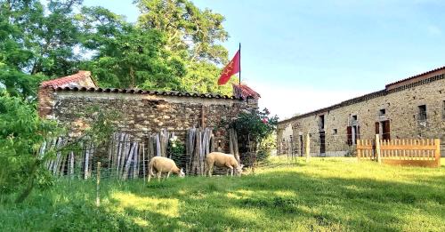 Calmont House | En Pascot - gîte pour 6 pers - 3 épis et 3 étoiles - 10 mn de Villefranche et Nailloux