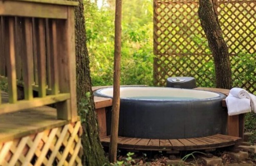 Cat Spring Cabin | Enchanted Cabin nestled in thick woods near Enchanted Lake & Private Hot Tub!
