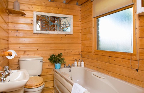Liverton Cabin | Enchanting Lodge over looking the beautiful South Devon Countryside.