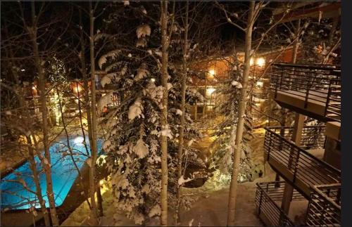 Snowmass Village House | Enclave 312, Ski-In/Ski-Out Condo, Top Floor w/Hot Tub, Gym and Out Door Pool in Snowmass