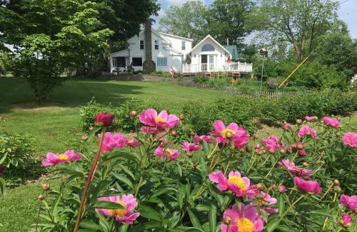 Newfield Bed & Breakfast | Enfield Manor Bed&Breakfast and Vacation Rental