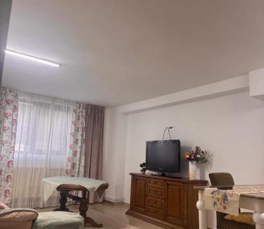 Vatra Dornei Apartment | Enjoy BDF