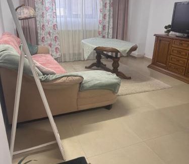 Vatra Dornei Apartment | Enjoy BDF