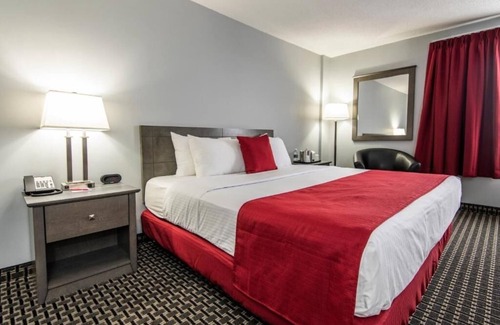 Grande Prairie House | Enjoy Modern Comfort in Clean Room, Steps from Majors Restaurant