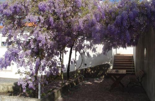 Leiria House | Enjoy the best of countryside
