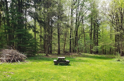 Farmersville Station Cabin | Enjoy the outdoors in this cozy Log Home on top of hill