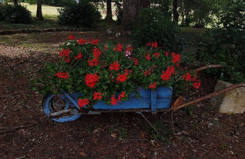 Ginestet House | Enjoy the traditional French Manoir Experience!