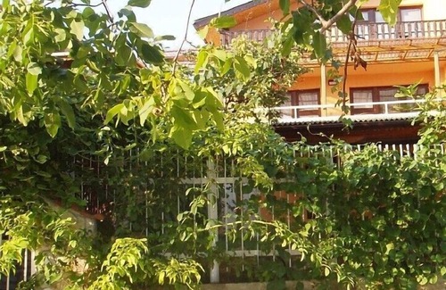 Fish Fish Villa | Enjoy your holiday in a beautiful Holiday Villa close to nature
