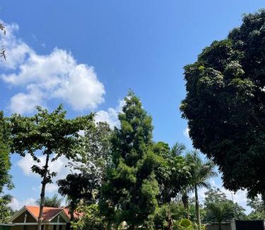 Entebbe House | Entebbe gardens holiday home