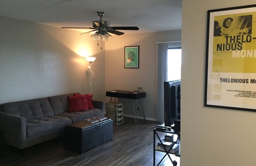 South Lamar Apartment | Entire Apt in South Austin 78704