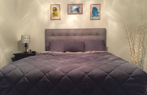 South Lamar Apartment | Entire Apt in South Austin 78704