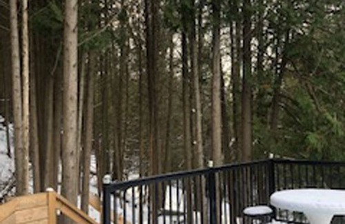 Flesherton House | Entire Chalet Near Eugenia Falls