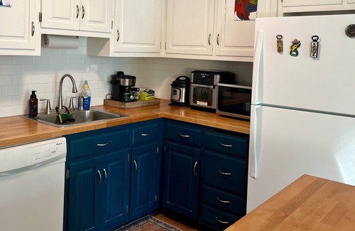 Bristol Condo | Entire Condo in Bristol (plant house🪴!)