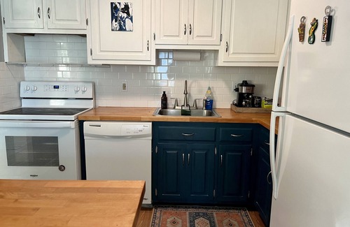 Bristol Condo | Entire Condo in Bristol (plant house🪴!)