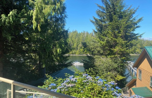 Bamfield Cabin | Entire cottage in Bamfield, oceanfront property Hilltop cabin with dock.