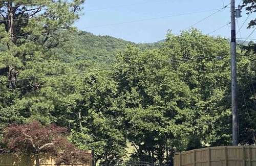 West Fork House | Entire House with Pool & Playground on 3 Acres