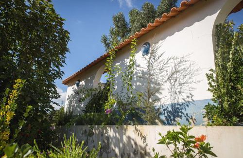 Cercal Villa | Entire villa hosted by Noam