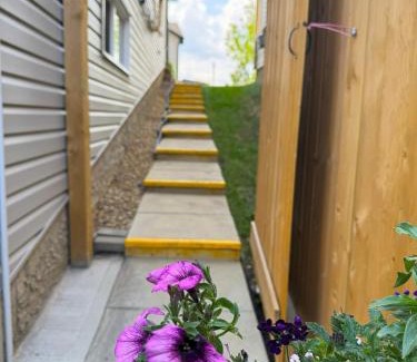Southeast Edmonton Apartment | Entire Walkout Basement Suite 2 BDRM King & Queen Patio Prvt Entrance