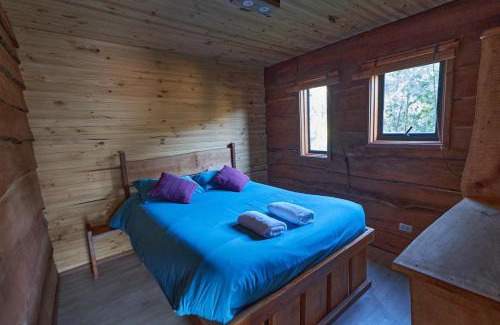 Villarrica Cabin | Entre Pampa y Bosque