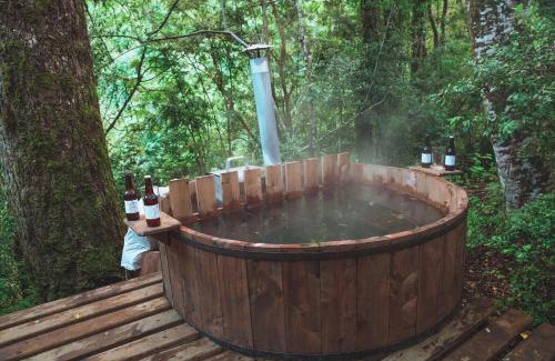 Villarrica Cabin | Entre Pampa y Bosque