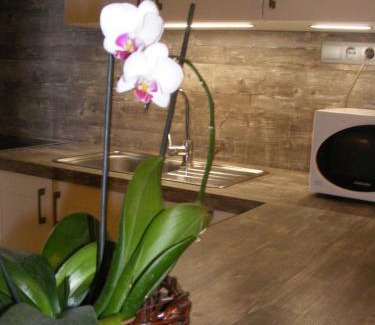 Buk Apartment | Erelia Cottage