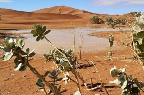 El Gouera Other | Erg Chigaga Camp Tours