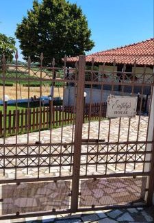 Karpenisi House | Erifily's House