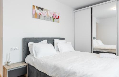 Sibiu Apartment | Erika