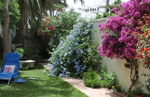 Barrio Nuevo House | Feel-good house near the beach with private pool and beautiful garden, perfect relaxation