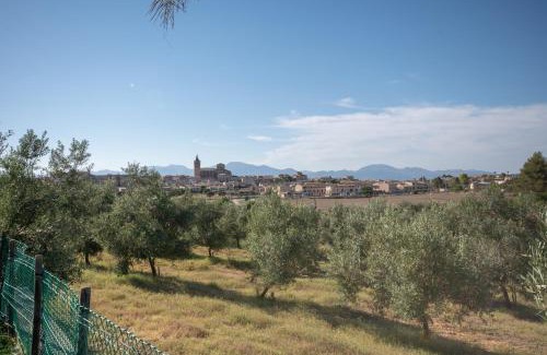 Sineu Villa | Es Flavo - Family only