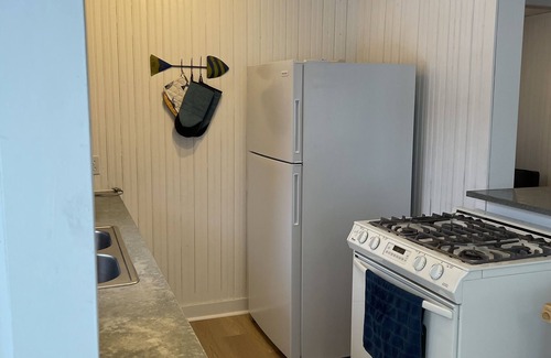 Newaygo Cottage | Escape from the Future Cabin Muskegon River