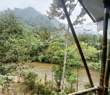 Bohorok Other | Escape Leuser Glamping