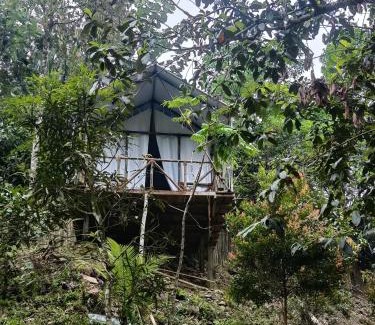 Bohorok Other | Escape Leuser Glamping