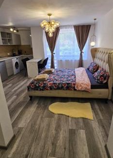 Viseu de Sus Apartment | Escape Residence