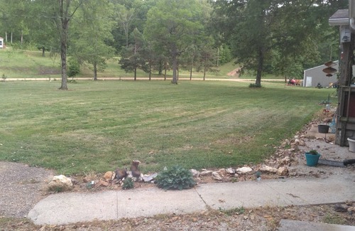 Gipsy Other | Escape to. Nature 40acres of beauty. 3br 2ba with trails, creek2 car garage .