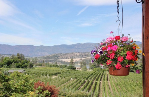 Central Okanagan House | Escape to Tranquility: A Retreat Surrounded by Orchard and Lake Views