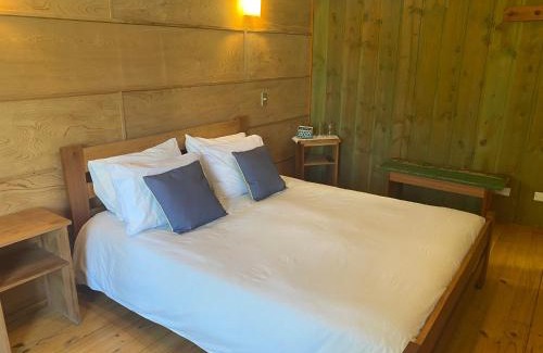 Pucon Hotel | Espacio Ecole