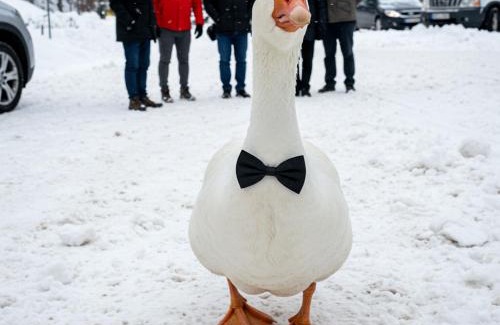 Potenza House | ESSENTIAL ROOM & PARKING in Centro Città con Parcheggio Privato e WIFI