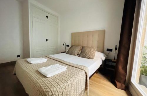 Casco Vello Apartment | Estilosa Vivienda en el centro