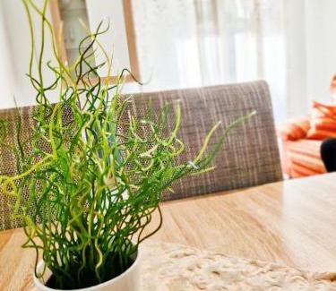 Tarancon Apartment | Estrella Polar