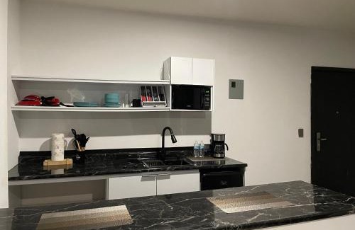 Juarez Municipality Apartment | Estudio aeropuerto