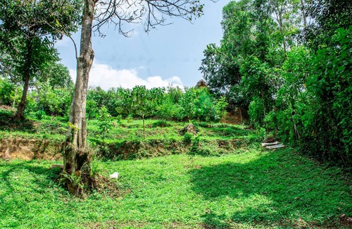 Nandi House | Etana Cottage Kakamega